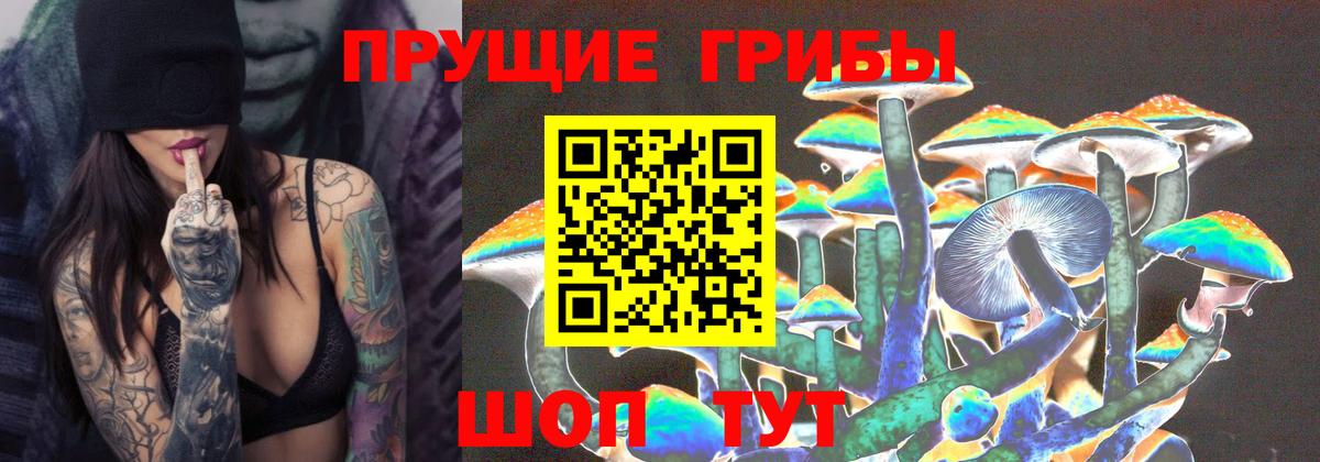 Галлюциногенные грибы MAGIC MUSHROOMS Владикавказ